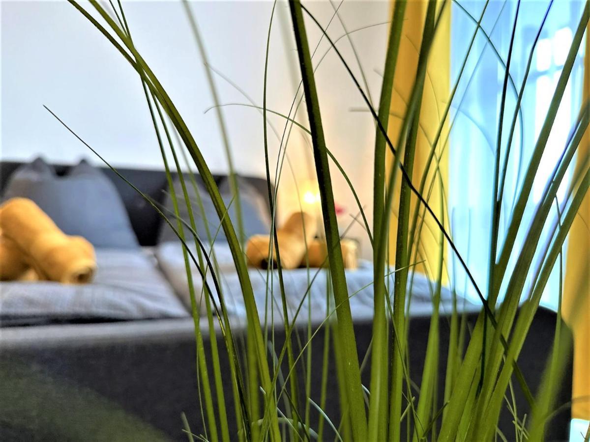 Gemuetliches Studio Im Bayerwald +Pool +Sauna +Wifi Цвизел Екстериор снимка